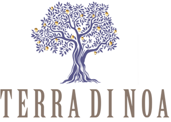TERRA DI NOA